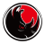 Dark Rhino Security